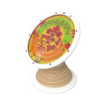 סטנד אנכי – Multi playfoot