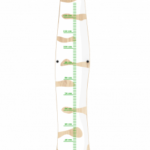 תרשים גובה