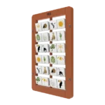 Desert Memory Terracotta Angled1.png