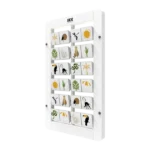 Desert Memory White Angled1.png